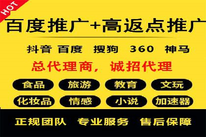 案例分析：打造高效竞价推广策略